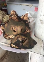 0efb120e-d4cf-415c-9671-ac59649f8b7d 2